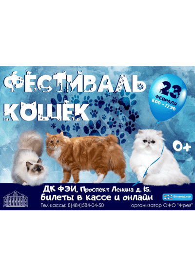 Afisha-go. Афиша мероприятий: Фестиваль породистых кошек