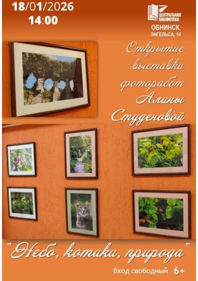 Afisha-go. Афиша мероприятий: Открытие выставки «Небо, котики, природа»