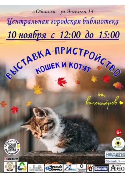 Afisha-go. Афиша мероприятий: Выставка-пристройство кошек и котят Afisha-go. Афиша мероприятий: Выставка-пристройство кошек и котят