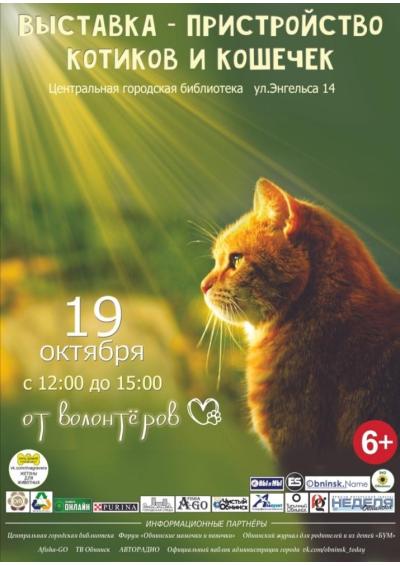 Afisha-go. Афиша мероприятий: Выставка-пристройство кошек