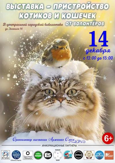 Afisha-go. Афиша мероприятий: Выставка-пристройство котиков и кошечек