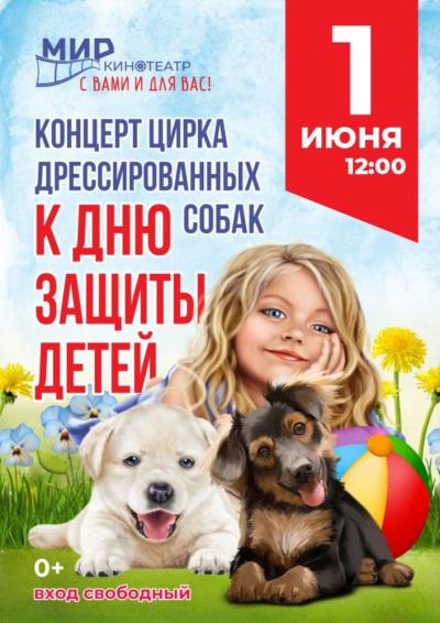 Afisha-go. Афиша мероприятий: Концерт дрессированных собак