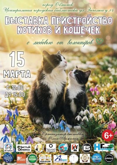 Afisha-go. Афиша мероприятий: Выставка-пристройство котиков и кошечек