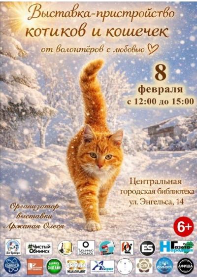 Afisha-go. Афиша мероприятий: Выставка-пристройство котиков и кошечек