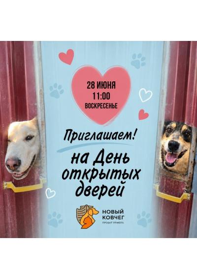 Afisha-go. Афиша мероприятий: День открытых дверей в приюте для животных