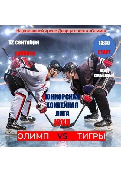 Afisha-go. Афиша мероприятий: Хоккейным матч