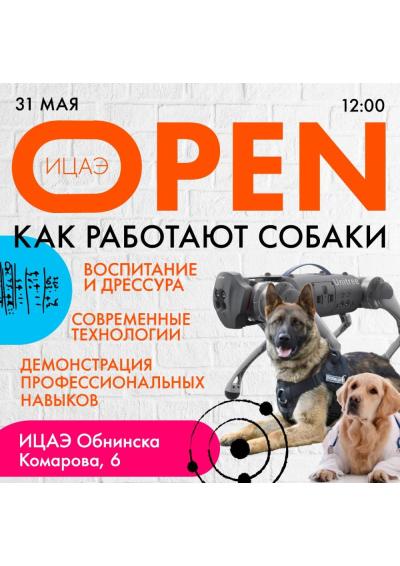 Afisha-go. Афиша мероприятий: ИЦАЭ OPEN: как работают собаки