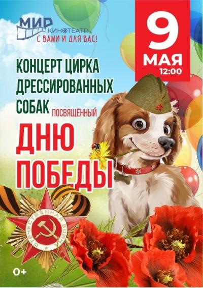 Afisha-go. Афиша мероприятий: Концерт цирка дрессированных собак