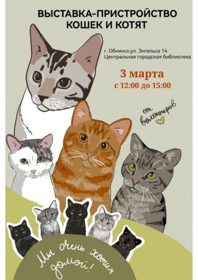 Afisha-go. Афиша мероприятий: Выставка—пристройство кошек и котят