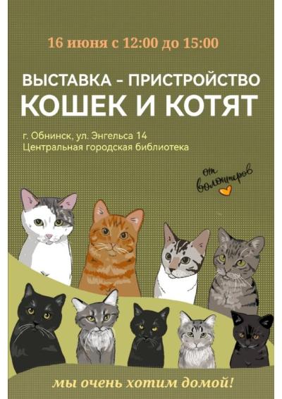 Afisha-go. Афиша мероприятий: Выставка-пристройство кошек и котят