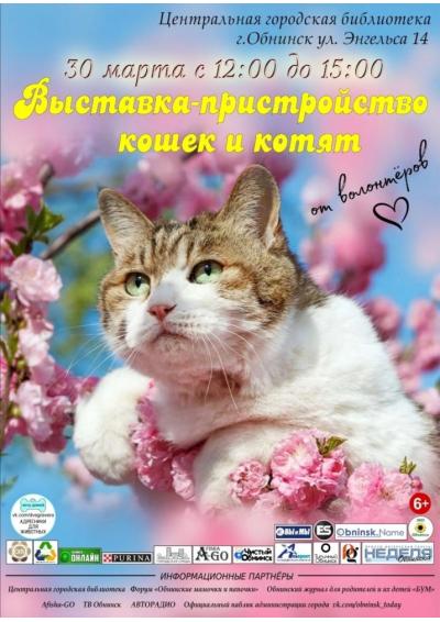 Afisha-go. Афиша мероприятий: Выставка-пристройство кошек и котят