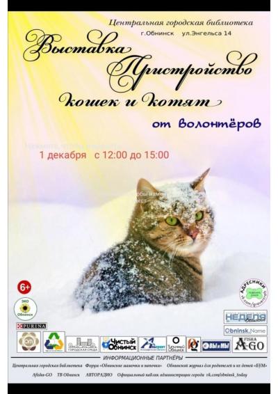 Afisha-go. Афиша мероприятий: Выставка-пристройство кошек и котят