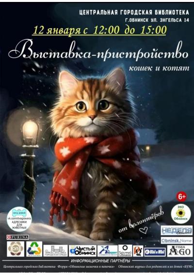 Afisha-go. Афиша мероприятий: Выставка-пристройство кошек и котят