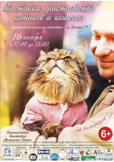 Afisha-go. Афиша мероприятий: Выставка-пристройство котиков и кошечек