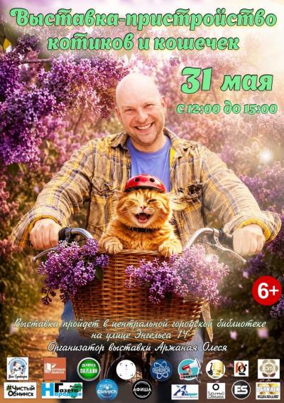 Afisha-go. Афиша мероприятий: Выставка-пристройство котиков и кошечек