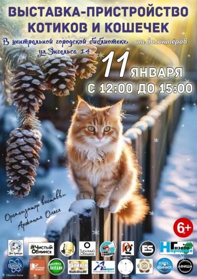 Afisha-go. Афиша мероприятий: Выставка-пристройство котиков и кошечек