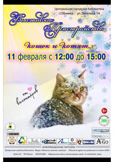 Afisha-go. Афиша мероприятий: Выставка-пристройство животных