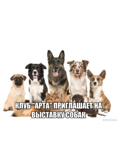 Afisha-go. Афиша мероприятий: Выставка собак