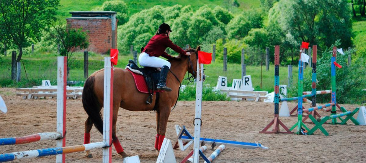 Afisha-go. Афиша мероприятия: Конно-спортивный комплекс «Вертикаль» Afisha-go. Афиша мероприятия: Конно-спортивный комплекс «Вертикаль»