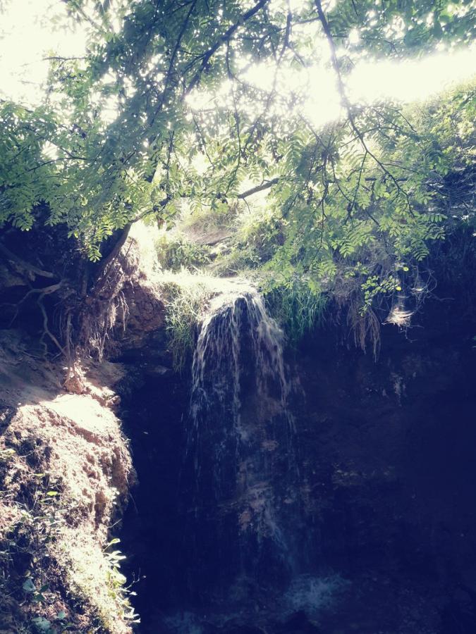 Afisha-go. Афиша мероприятия: Водопад «Калужская Ниагара» Afisha-go. Афиша мероприятия: Водопад «Калужская Ниагара»