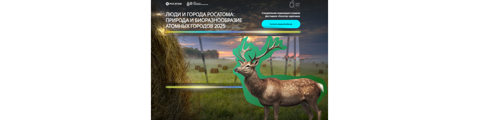 Специальная номинация «Природа и биоразнообразие атомных городов» в рамках международного фотоконкурса «Золотая черепаха»