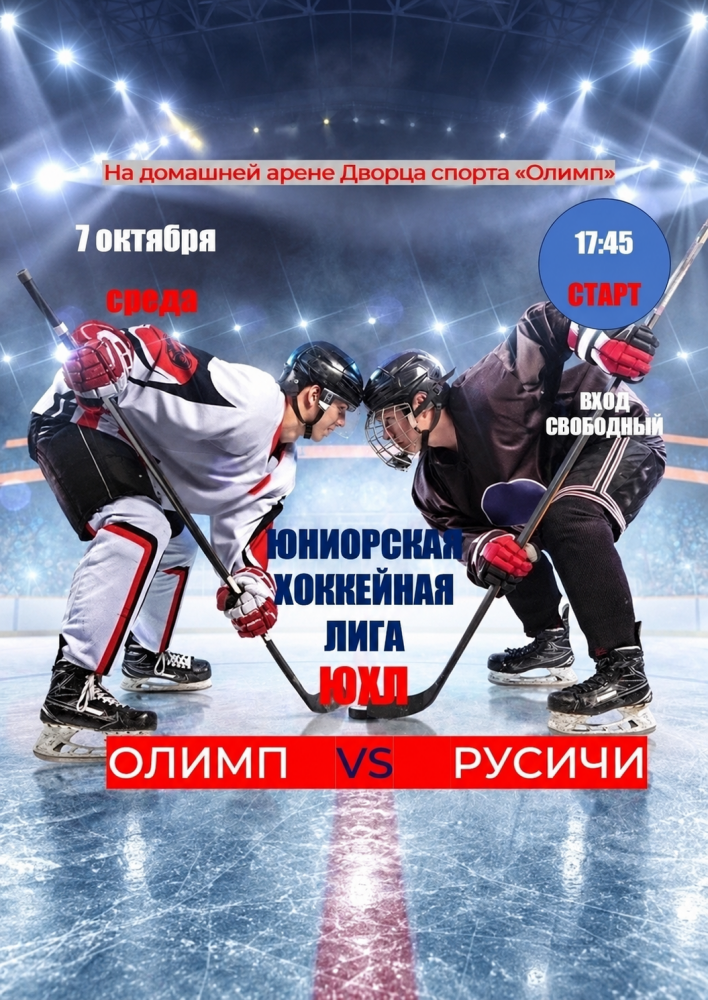 Хоккейный матч