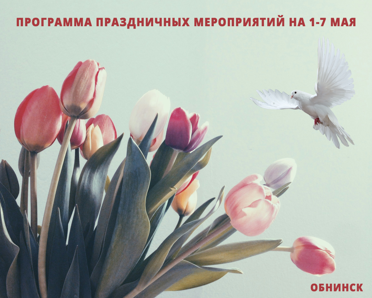 Программа праздничных мероприятий 1-7 мая