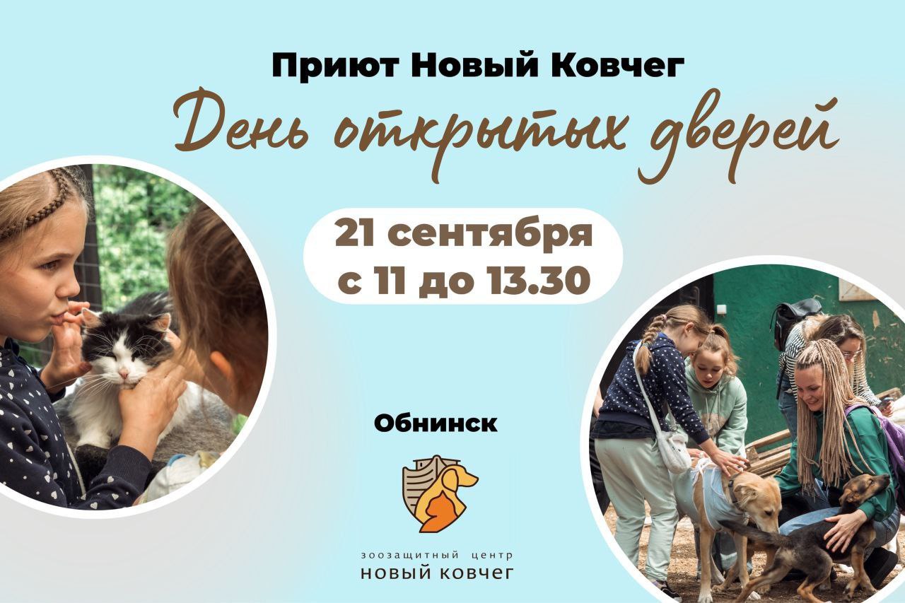 День открытых дверей в Новом ковчеге