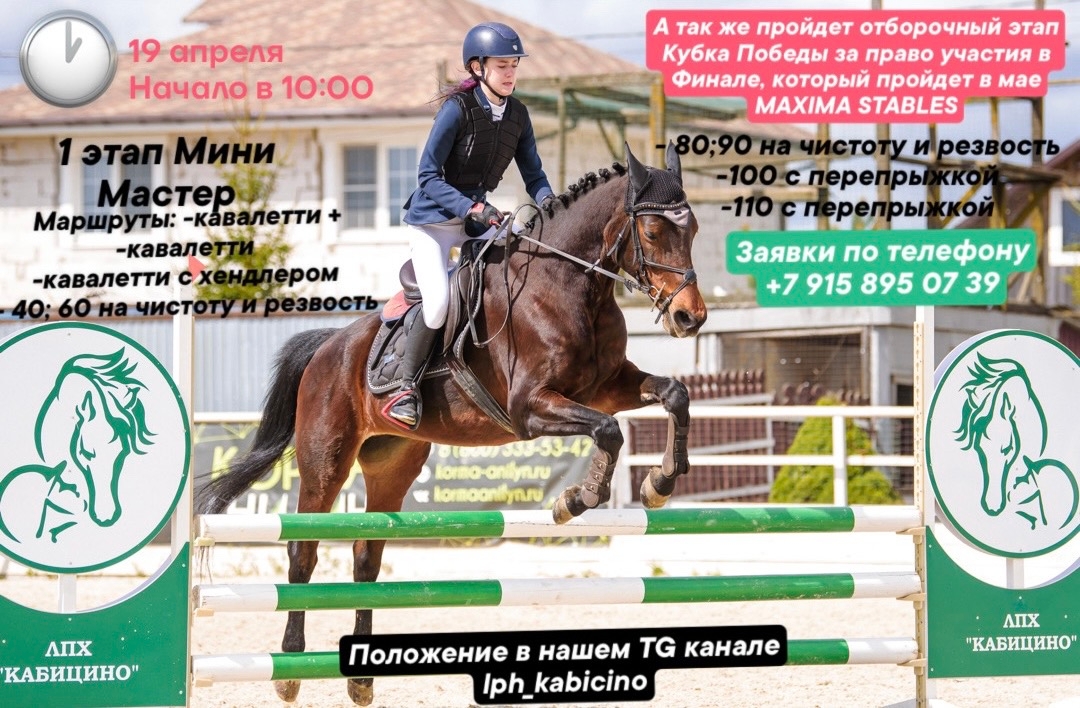 Соревнования по конному спорту