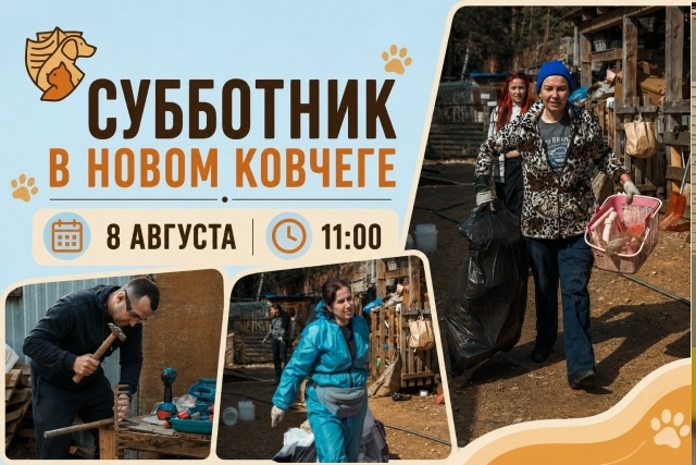 Субботик в приюте «Новый Ковчег»