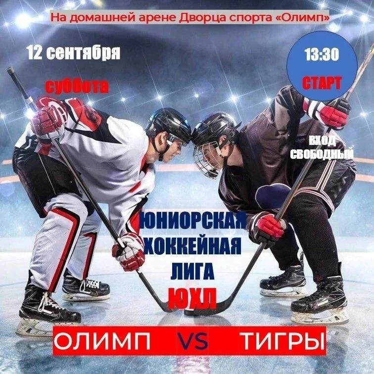 Хоккейным матч